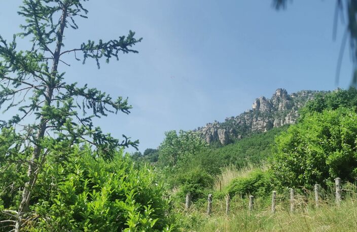 Terrain — photo 2
