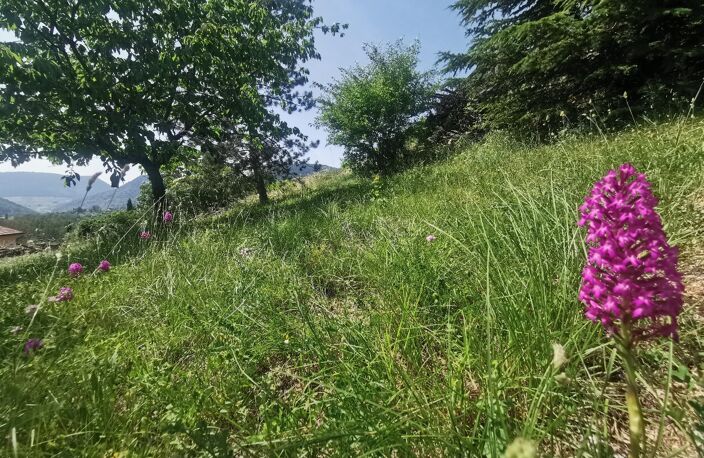 Terrain — photo 3