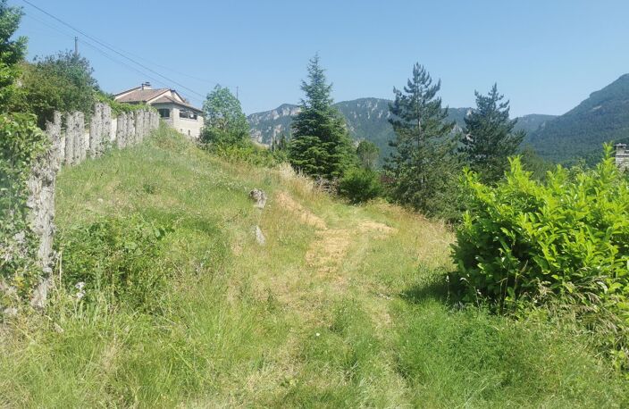 Terrain — photo 4