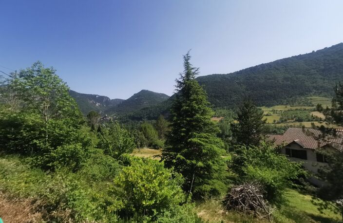 Terrain — photo 5
