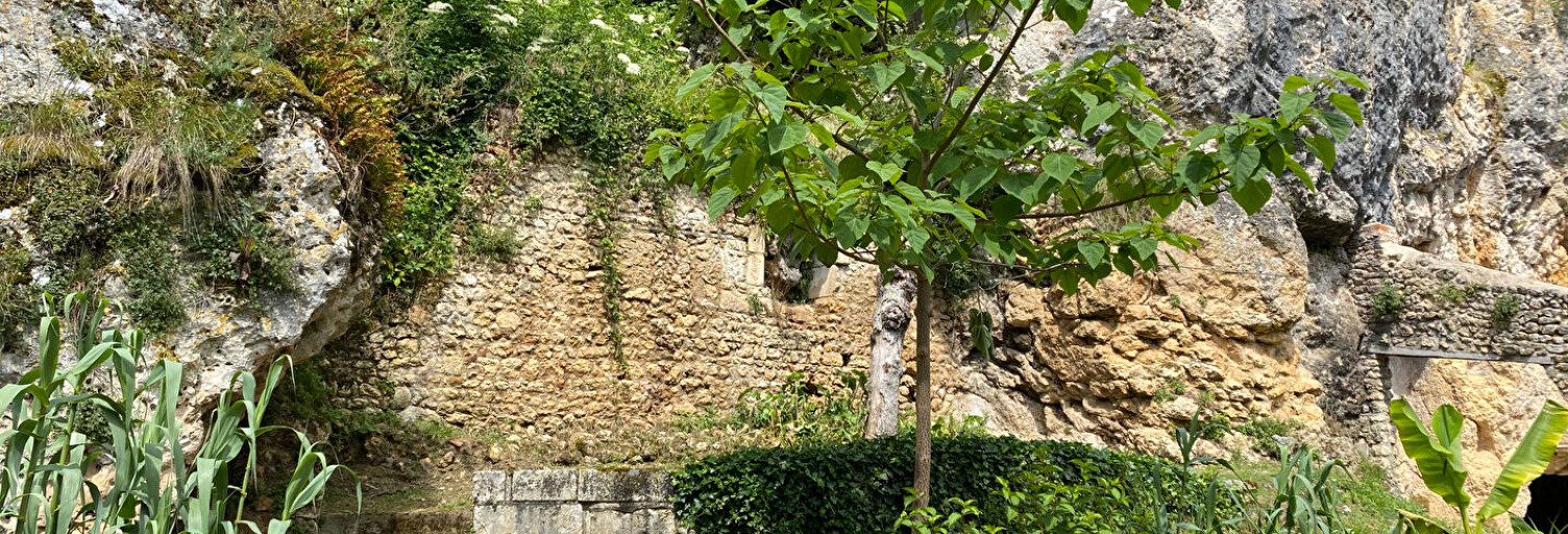 Maison 7 Pièces 236 m² à vendre à La Chapelle-Moulière (86210)