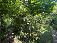 MAISON RENNES FOUGERES 153 m² — photo 4