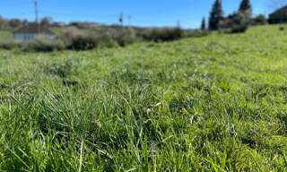 Terrain  1441 m² à vendre à Yssandon (19310)