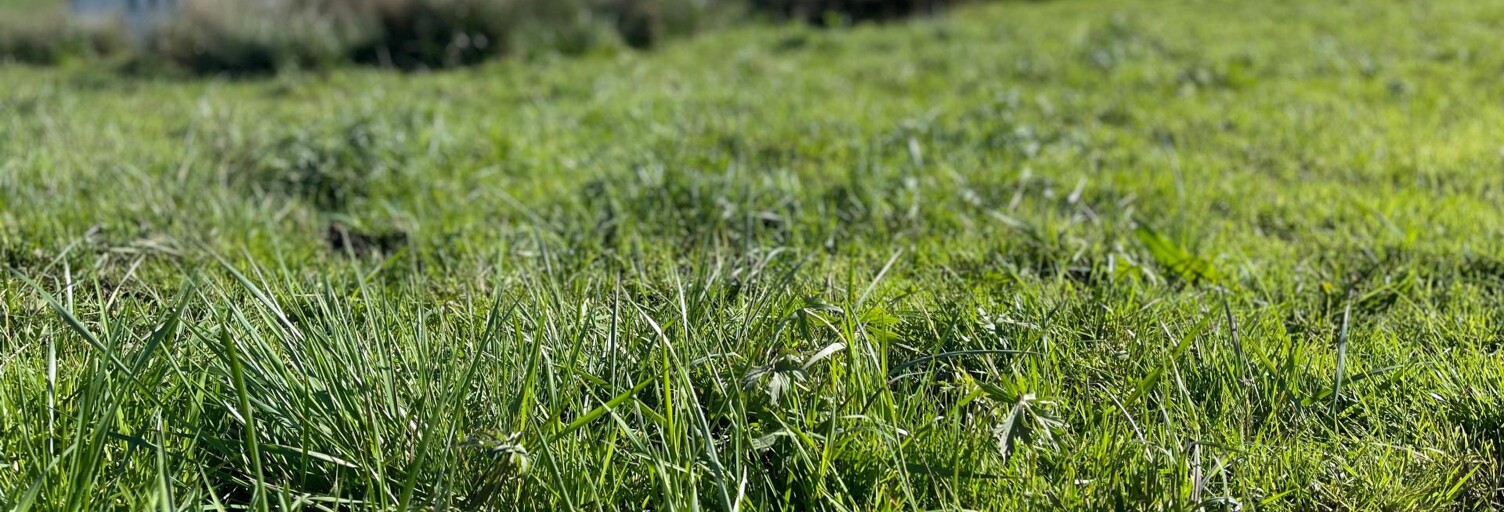 Terrain  1441 m² à vendre à Yssandon (19310)