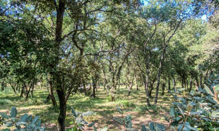 Terrain  937 m² à vendre à Saint-Siffret (30700)