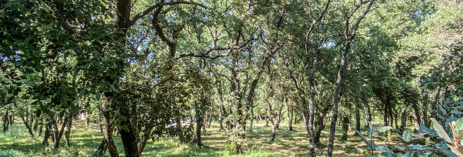 Terrain  937 m² à vendre à Saint-Siffret (30700)