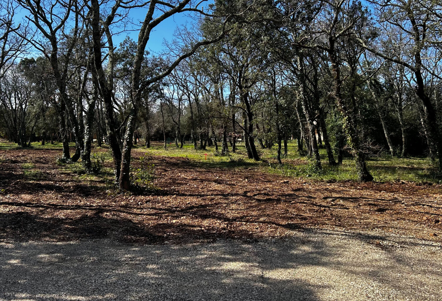Magnifique terrain à bâtir viabilisé — photo 1