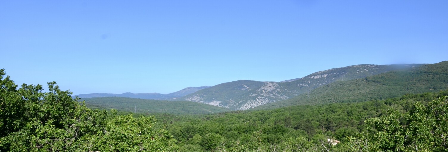 Terrain  17300 m² à vendre à Saint-Vallier-de-Thiey (06460)