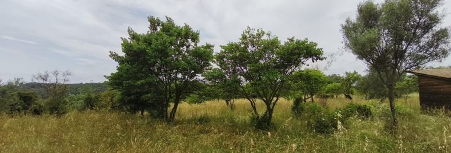 Terrain  3690 m² à vendre à Saint-Georges-d'Orques (34680)