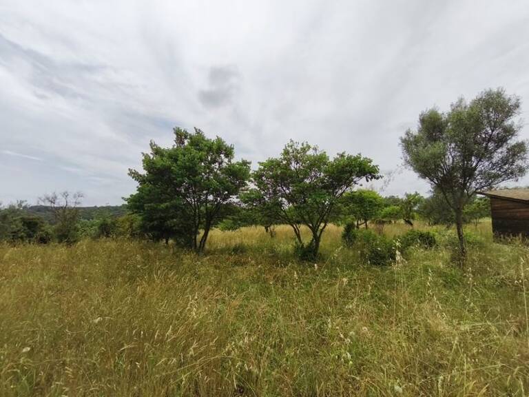 Terrain à construire  3690 m²  — photo 1
