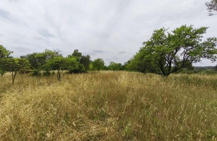 Vente terrain  3690 m² Saint-Georges-d'Orques (34680) — photo 2