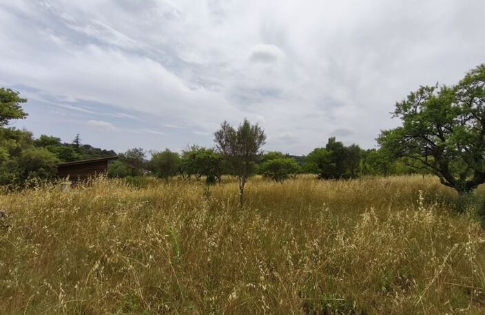 Vente terrain  3690 m² Saint-Georges-d'Orques (34680) — photo 4