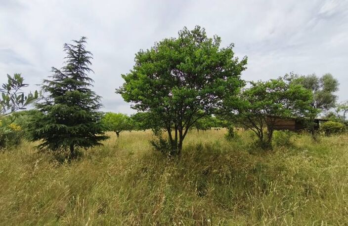 Vente terrain  3690 m² Saint-Georges-d'Orques (34680) — photo 5