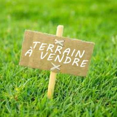 Terrain  52000 €