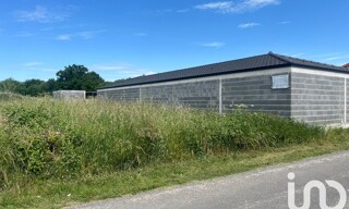 Photo N° 3