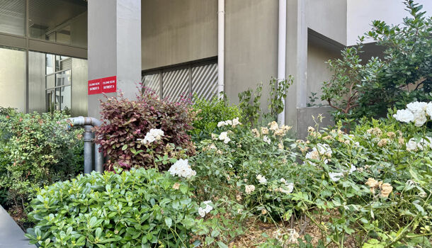 Appartement 2 pièces  à vendre Marseille 8eme 13008