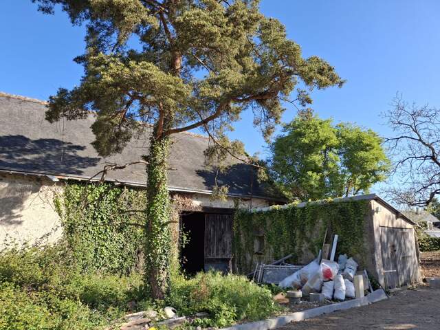 Maison à vendre Saint-Cyr-sur-Loire — photo du bien