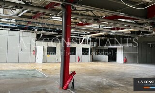 Local industriel  1395 m² à vendre à Ayse (74130)