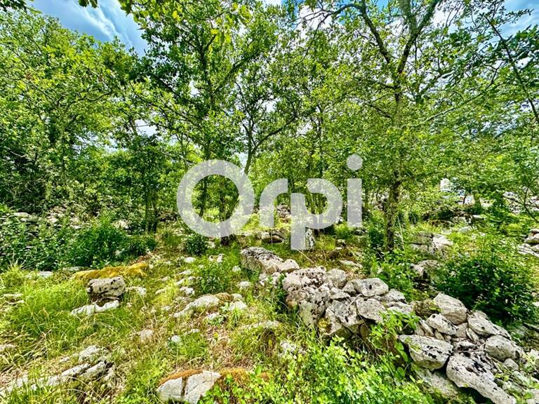 Terrain constructible avec viabilité en limite — photo 1