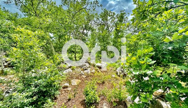 Terrain  à vendre Labeaume 07120