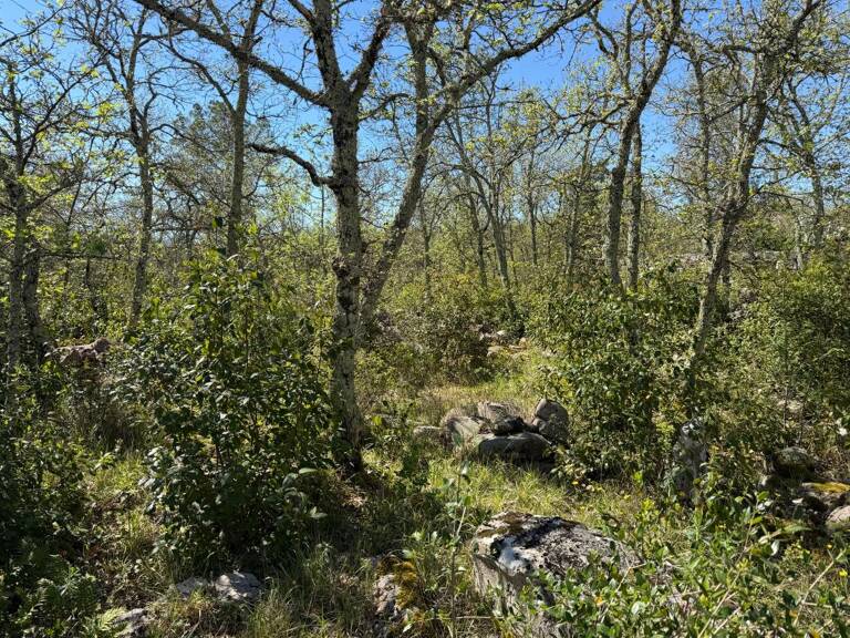Terrain de 1500 m² constructible avec viabilité en limite — photo 1