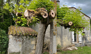 Photo N° 2