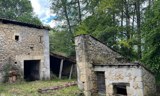 Photo N° 4