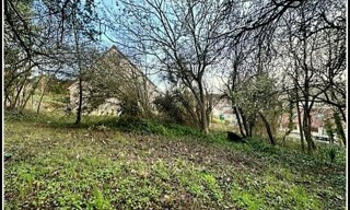 Photo N° 4
