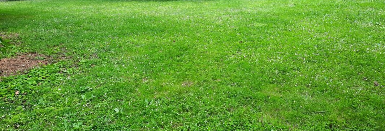 Terrain  2500 m² à vendre à Bourcefranc-le-Chapus (17560)