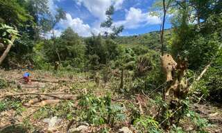 Terrain  1981 m² à vendre à Sainte-Luce (97228)