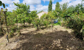 Photo N° 5
