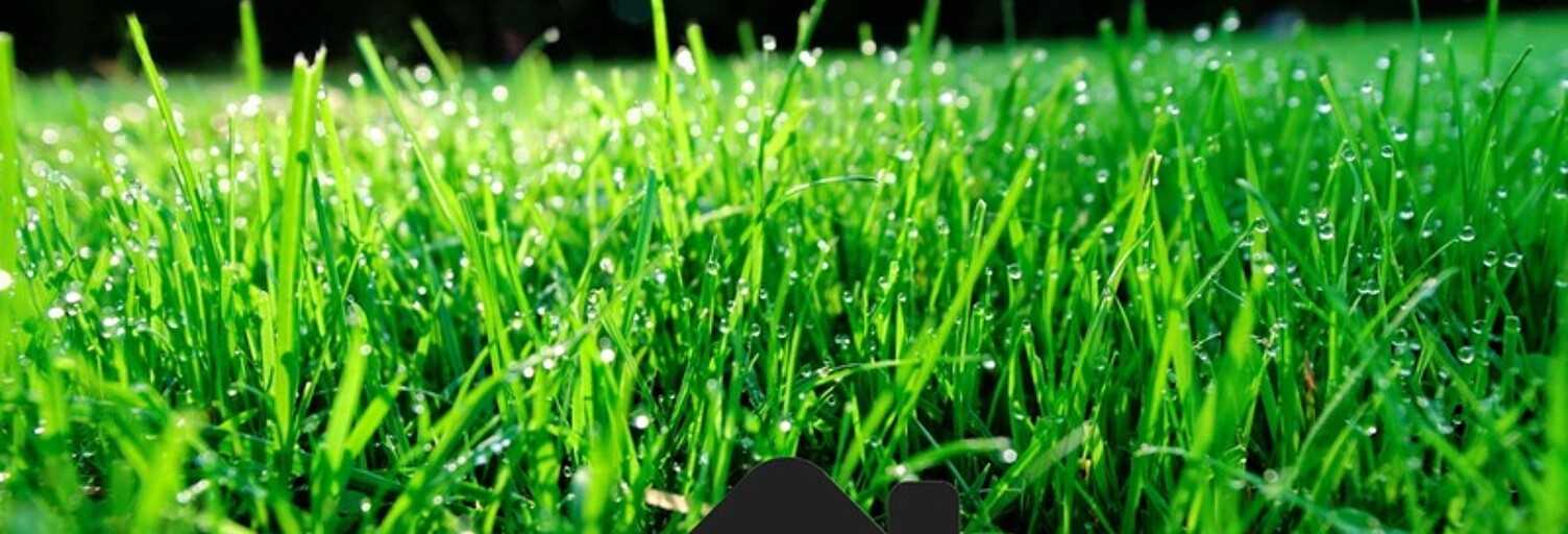 Terrain  1400 m² à vendre à Saint-Georges-du-Bois (17700)