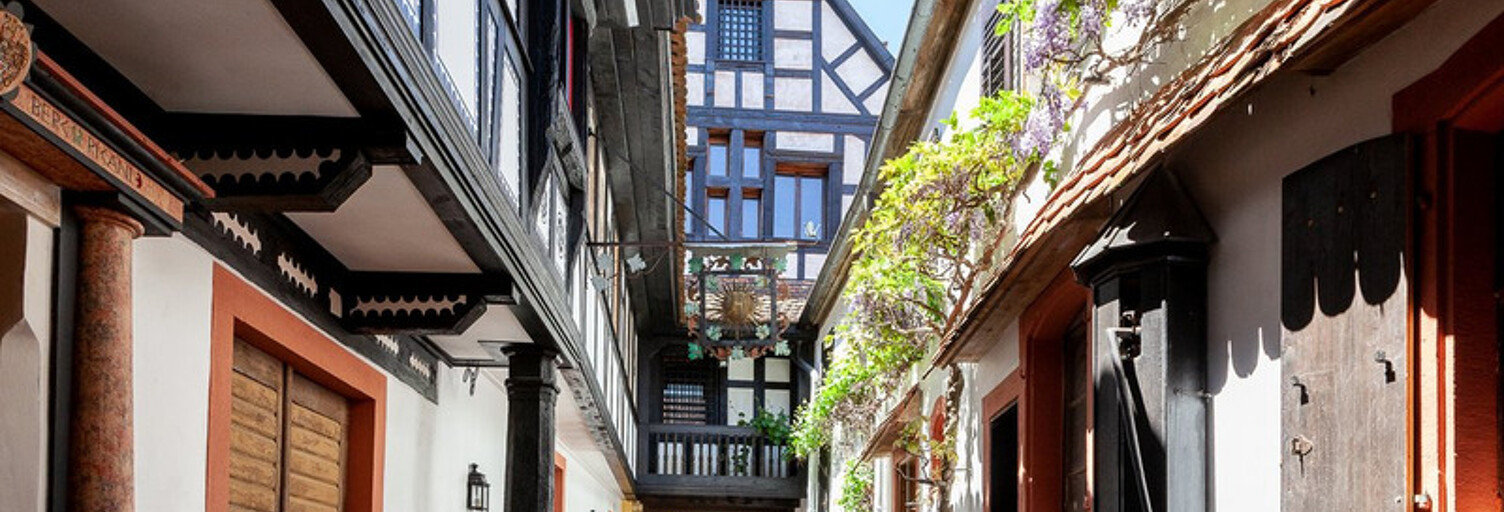 Maison 480 m² en viager Bœrsch (67530)