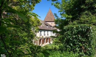 Maison 480 m² en viager Bœrsch (67530)