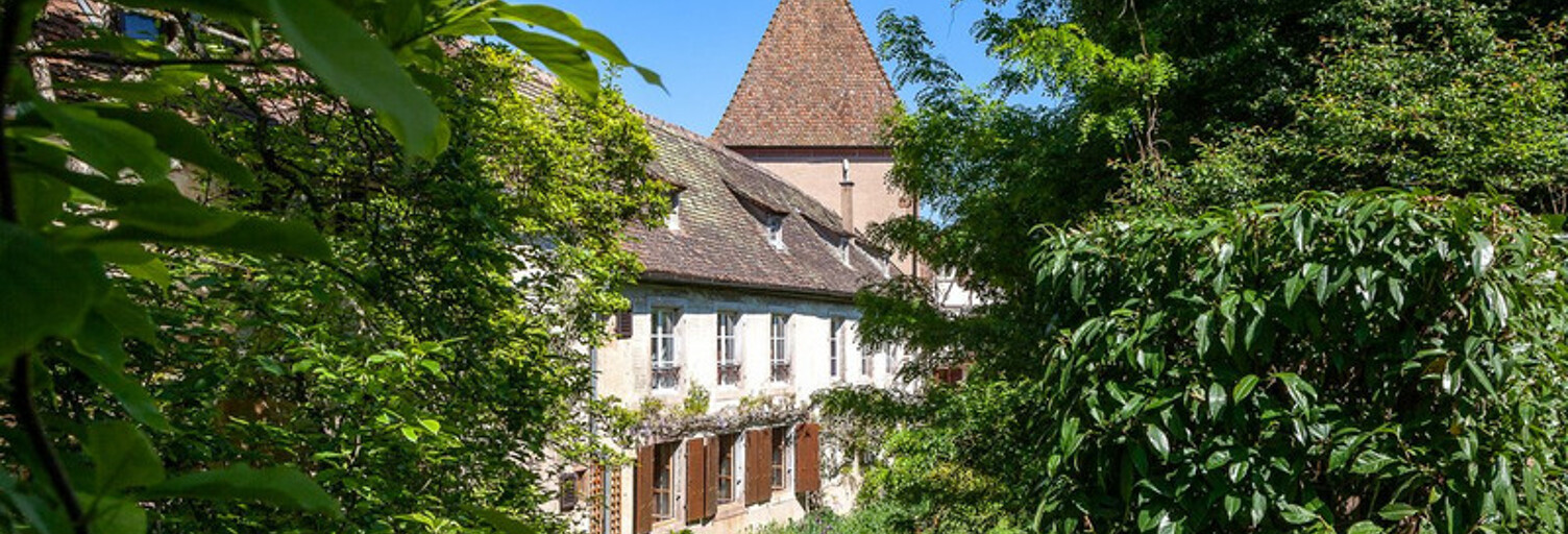 Maison 480 m² en viager Bœrsch (67530)