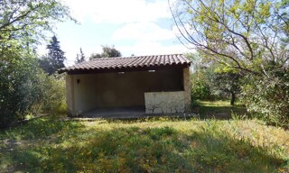 Photo N° 4