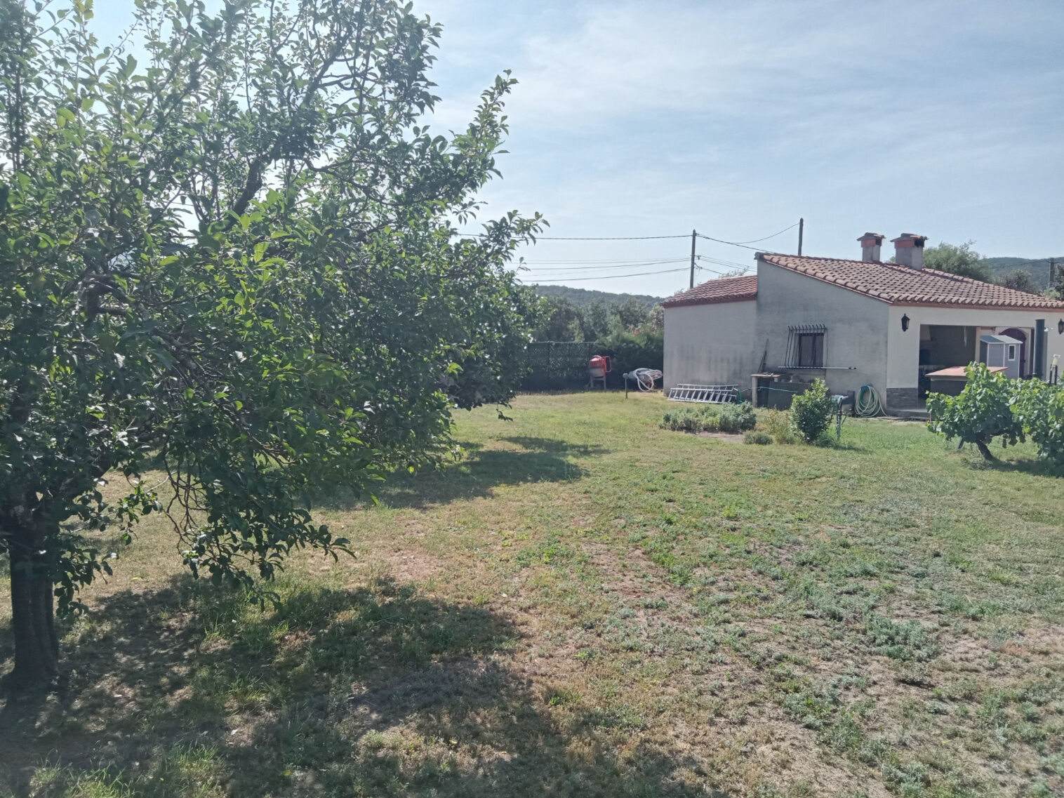 Terrain  à vendre Maureillas-las-Illas 66480