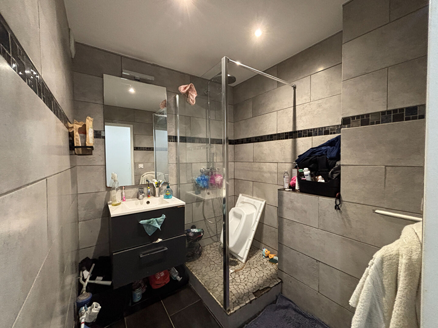 Photo Appartement Saint Jean Bonnefonds 3 pièce(s) 74 m2 image 4/4