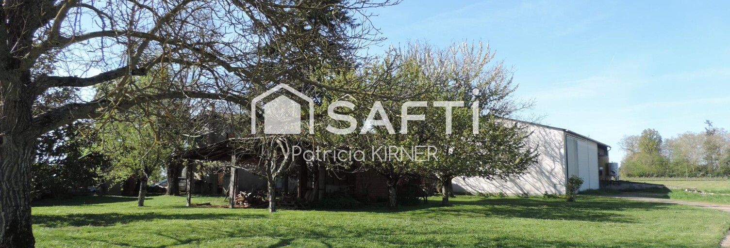 Maison 7 Pièces 167 m² à vendre à Lisle-sur-Tarn (81310)