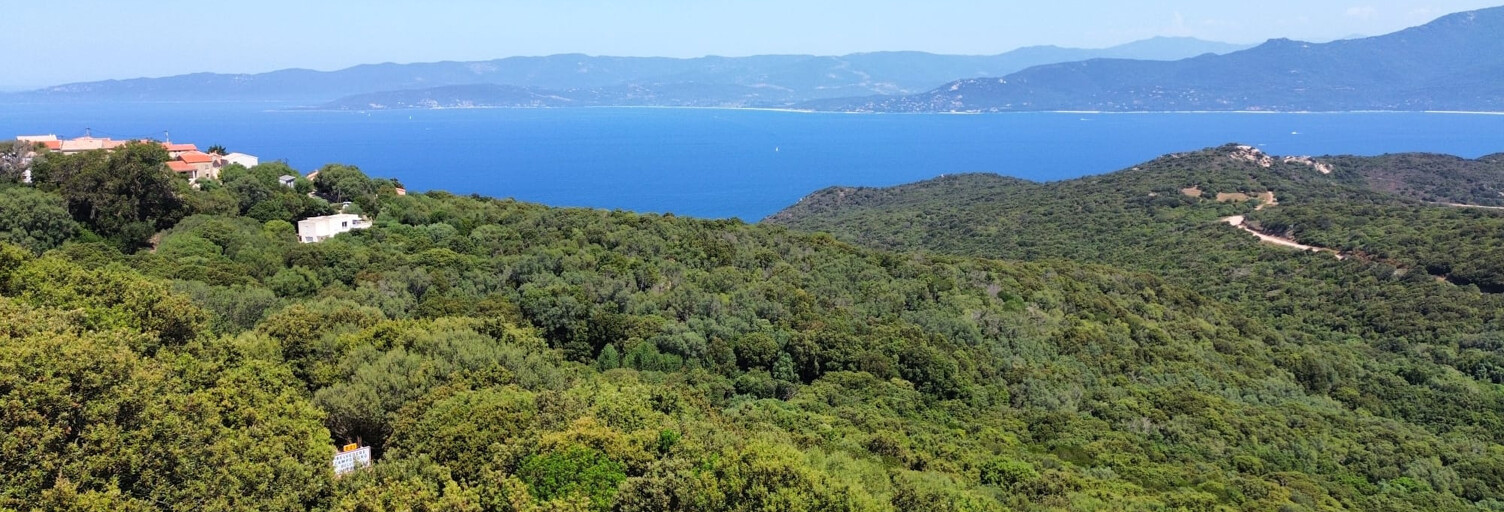 Terrain  2000 m² à vendre à Belvédère-Campomoro (20110)