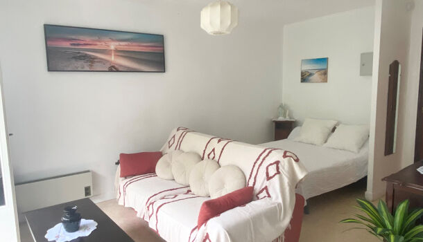 Appartement 1 pièces  à louer Amélie-les-Bains-Palalda 66110