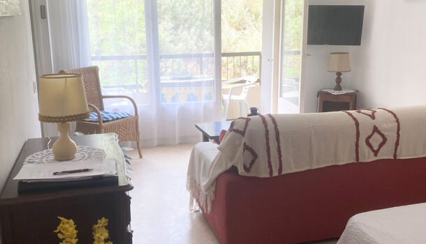 Appartement 1 pièces  à louer Amélie-les-Bains-Palalda 66110