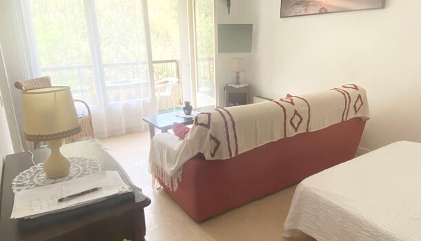 Appartement 1 pièces  à louer Amélie-les-Bains-Palalda 66110