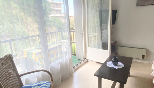 Appartement 1 pièces  à louer Amélie-les-Bains-Palalda 66110