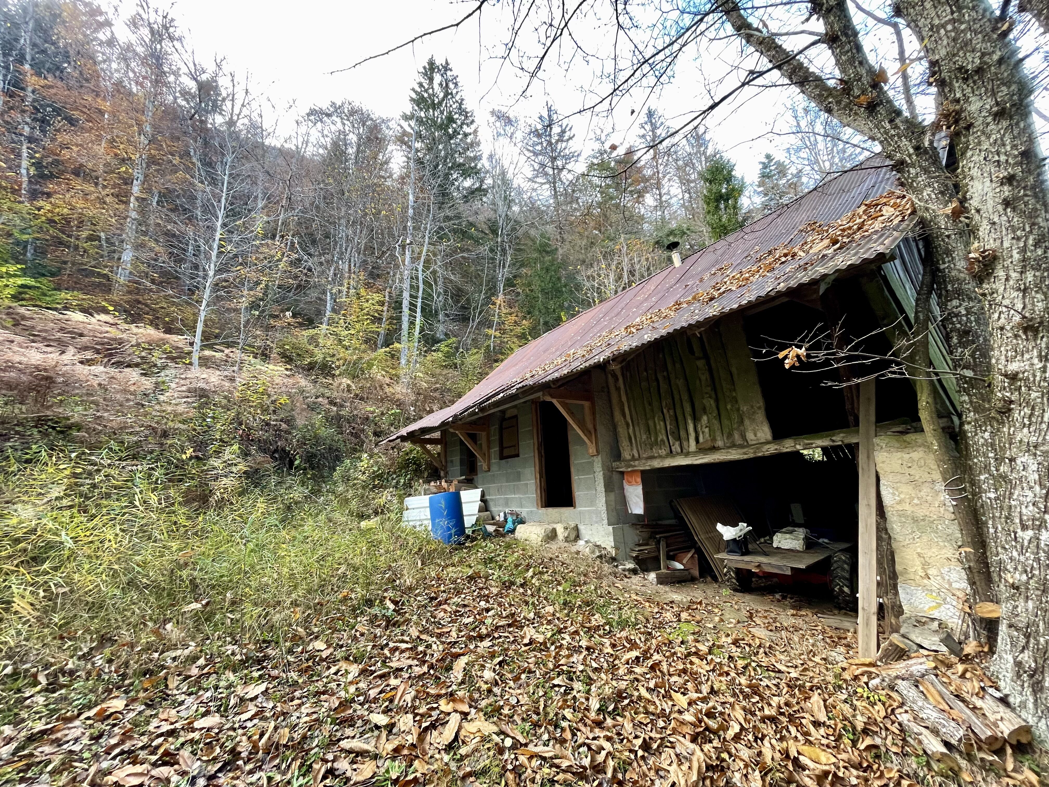 Etable dans domaine forestier
