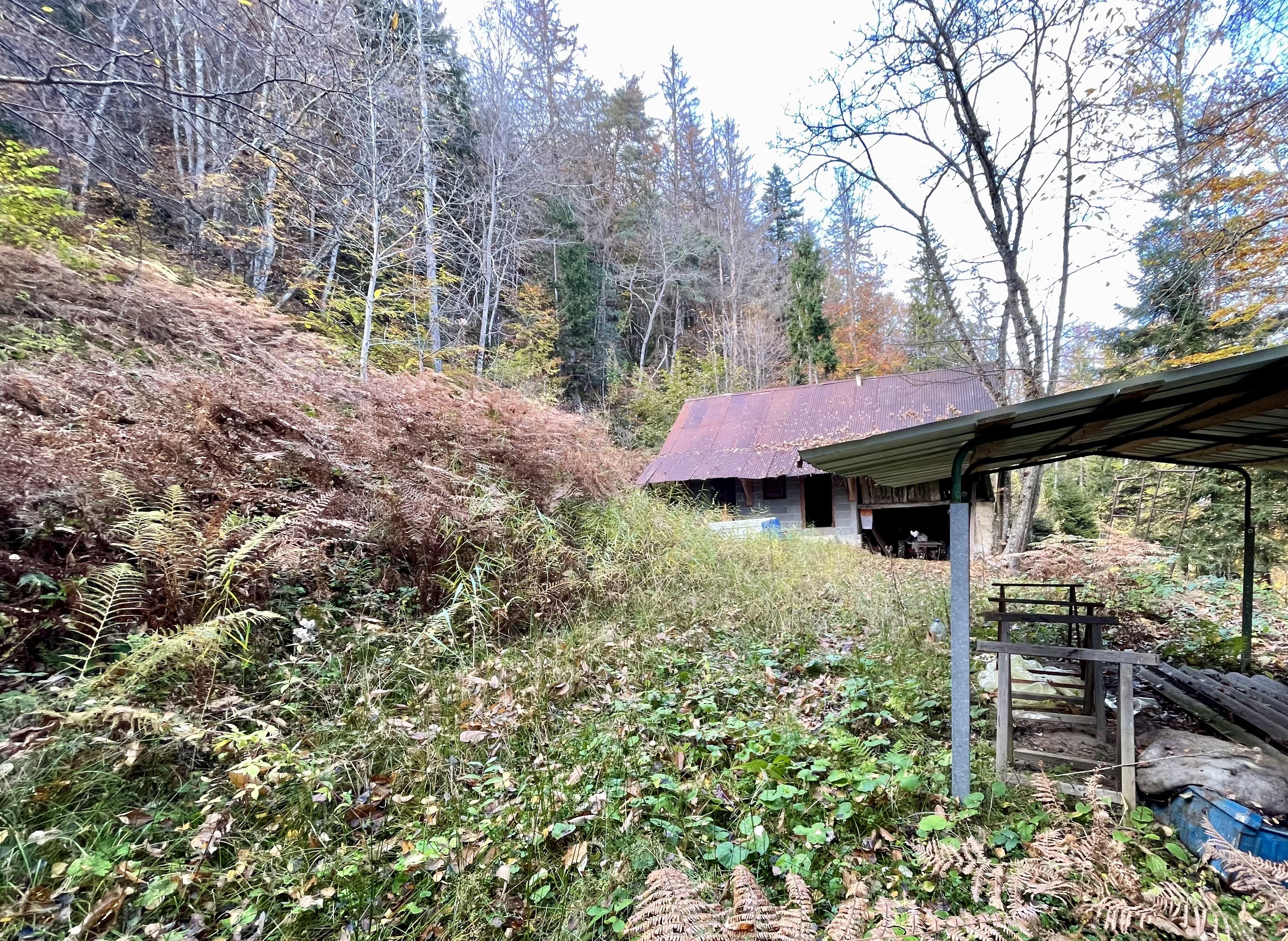 Etable dans domaine forestier
