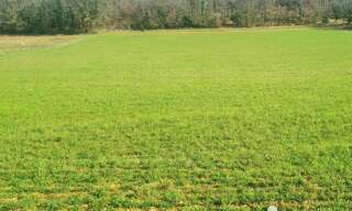 Terrain  3502 m² à vendre à Jayac (24590)