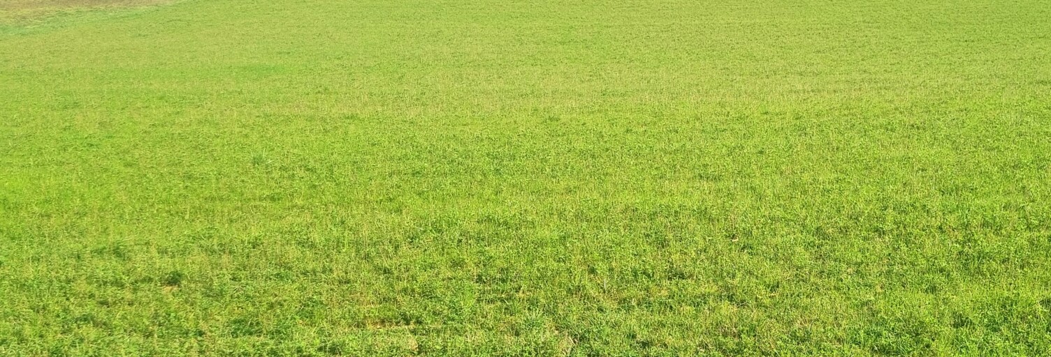 Terrain  3502 m² à vendre à Jayac (24590)