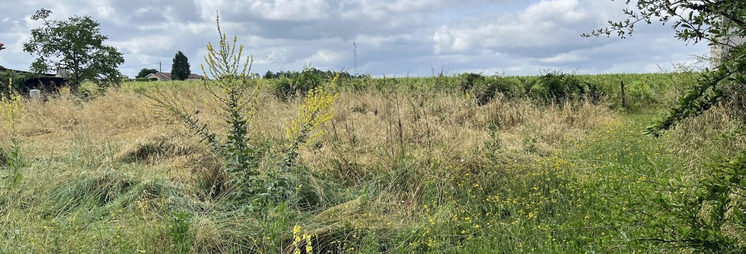 Terrain  1331 m² à vendre à Portets (33640)