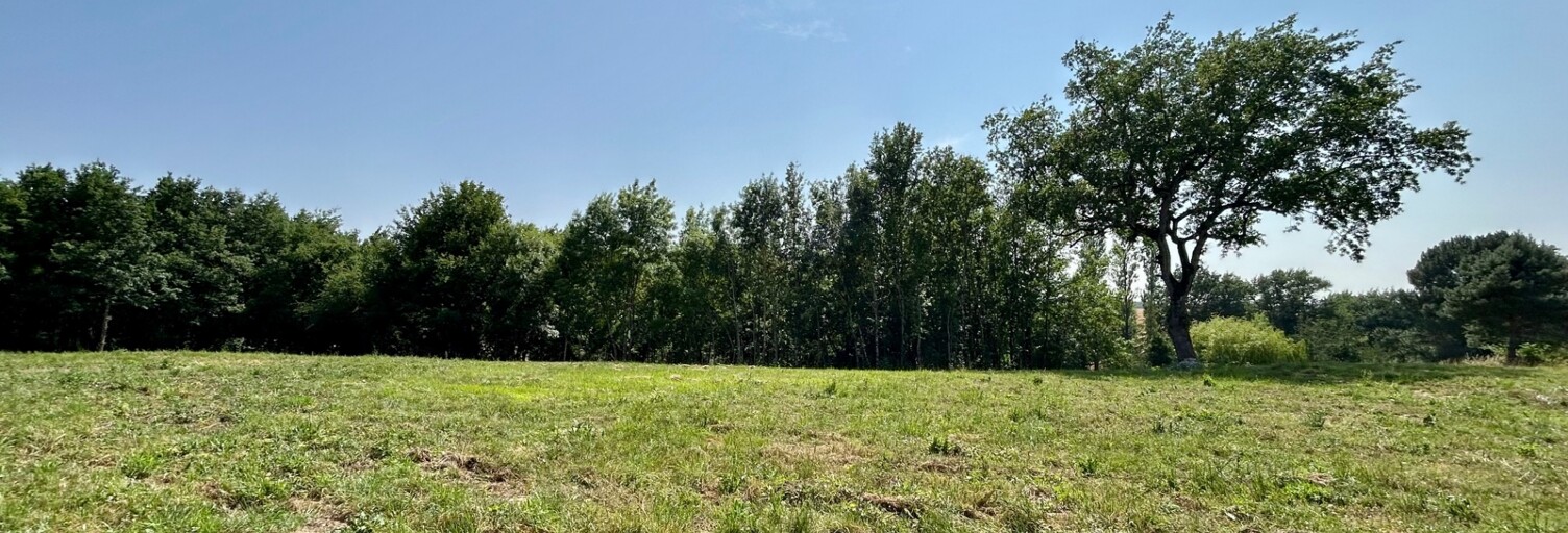 Terrain  677 m² à vendre à Gaillac (81600)